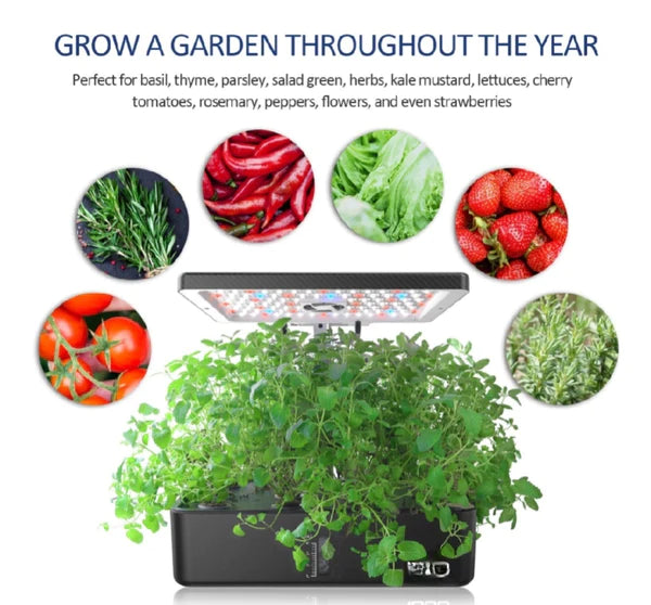 Daily Encouragement & Specials- Giving Away Hydroponics Gardens